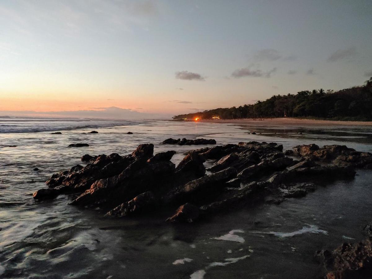Armadillo Eco Bungalows - Santa Teresa Playa Santa Teresa  外观 照片