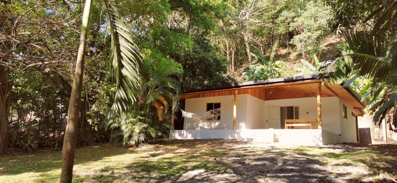 Armadillo Eco Bungalows - Santa Teresa Playa Santa Teresa  外观 照片