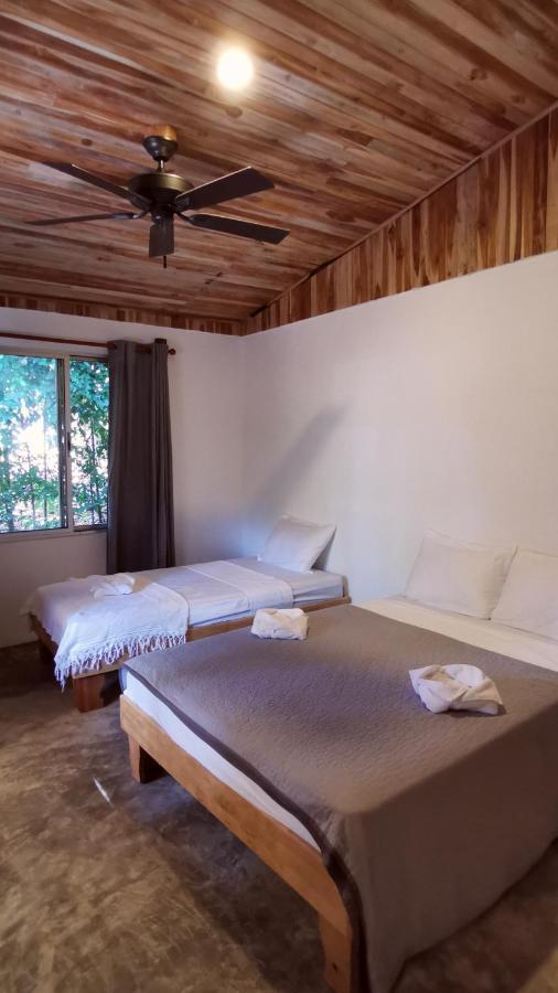 Armadillo Eco Bungalows - Santa Teresa Playa Santa Teresa  外观 照片