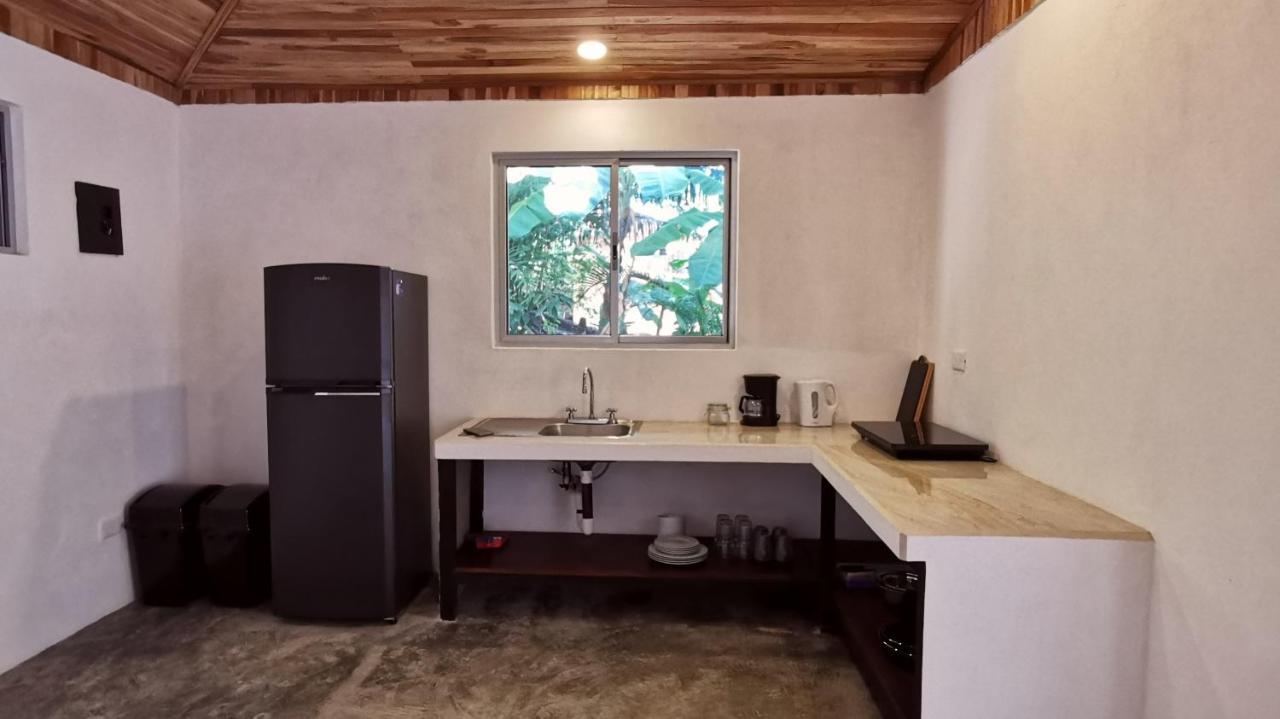 Armadillo Eco Bungalows - Santa Teresa Playa Santa Teresa  外观 照片
