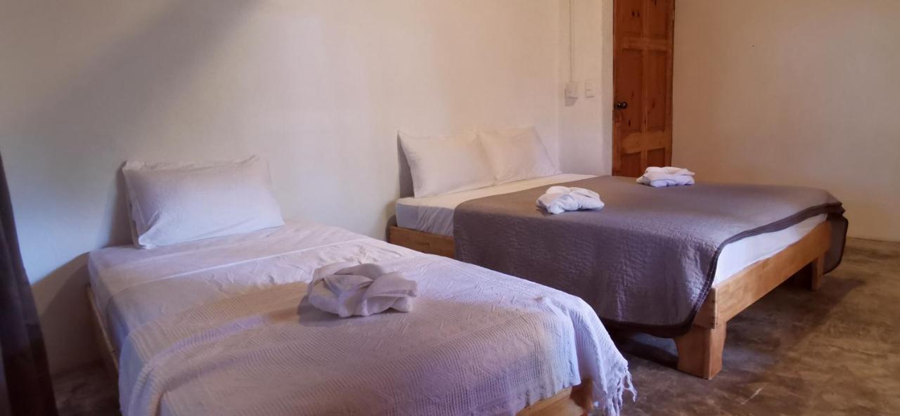 Armadillo Eco Bungalows - Santa Teresa Playa Santa Teresa  外观 照片