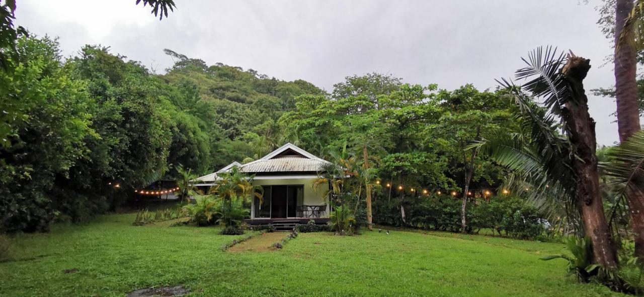 Armadillo Eco Bungalows - Santa Teresa Playa Santa Teresa  外观 照片