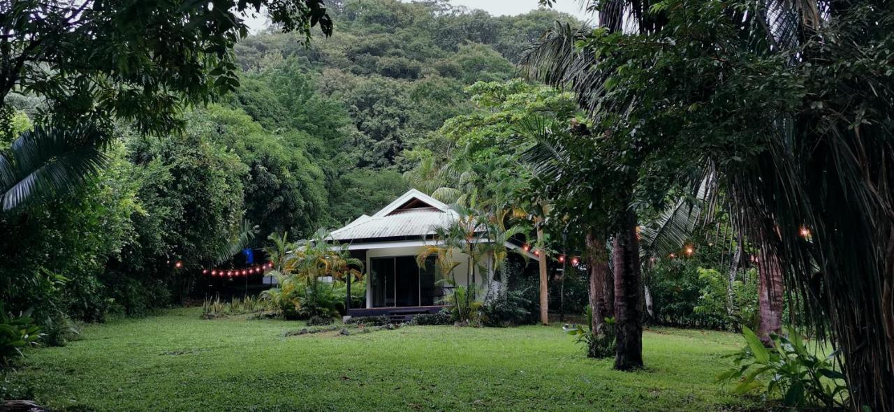 Armadillo Eco Bungalows - Santa Teresa Playa Santa Teresa  外观 照片