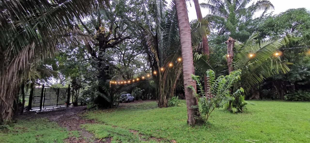 Armadillo Eco Bungalows - Santa Teresa Playa Santa Teresa  外观 照片