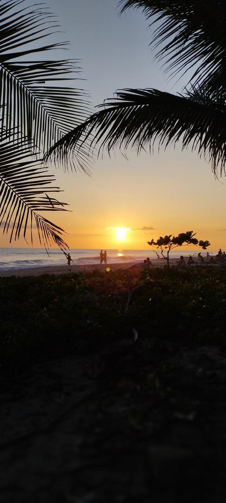 Armadillo Eco Bungalows - Santa Teresa Playa Santa Teresa  外观 照片