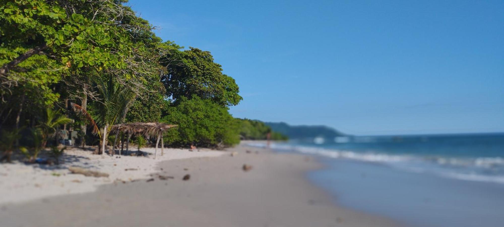 Armadillo Eco Bungalows - Santa Teresa Playa Santa Teresa  外观 照片