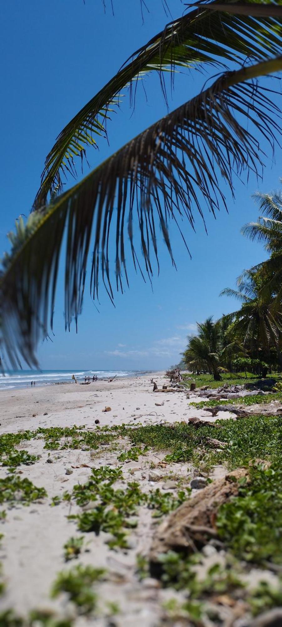 Armadillo Eco Bungalows - Santa Teresa Playa Santa Teresa  外观 照片