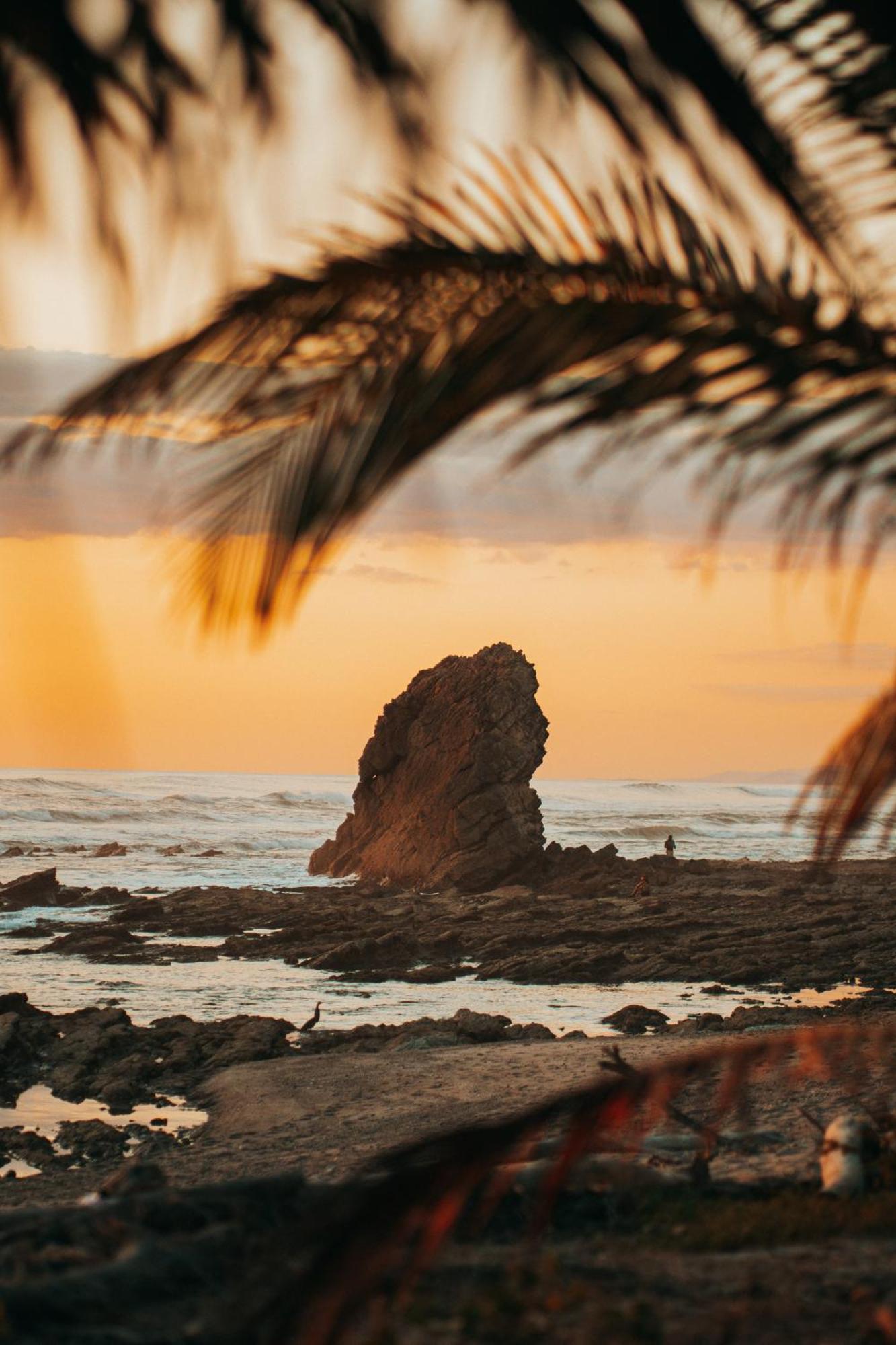 Armadillo Eco Bungalows - Santa Teresa Playa Santa Teresa  外观 照片