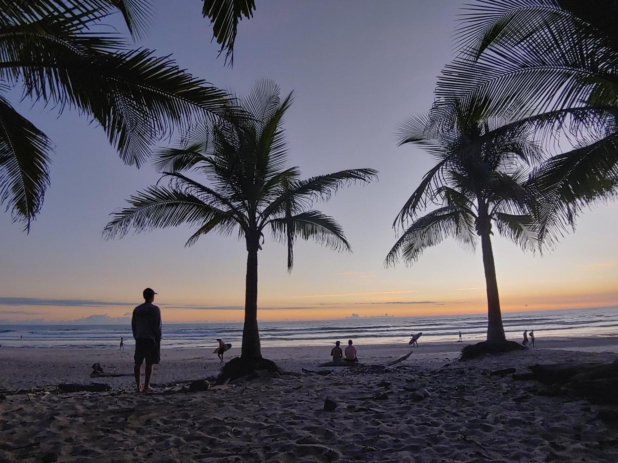 Armadillo Eco Bungalows - Santa Teresa Playa Santa Teresa  外观 照片